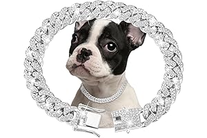 Sparkling Silver Chain Dog Collar: Unleash the Glam in Your Pet's Style