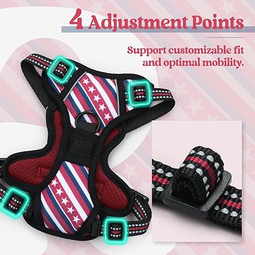 Vista 420 de rabbitgoo - Arnés antitirones para perro grande, con 2 aros para correa, acolchado suave, ajustable, tela Oxford, reflejante, no asfixia, chaleco