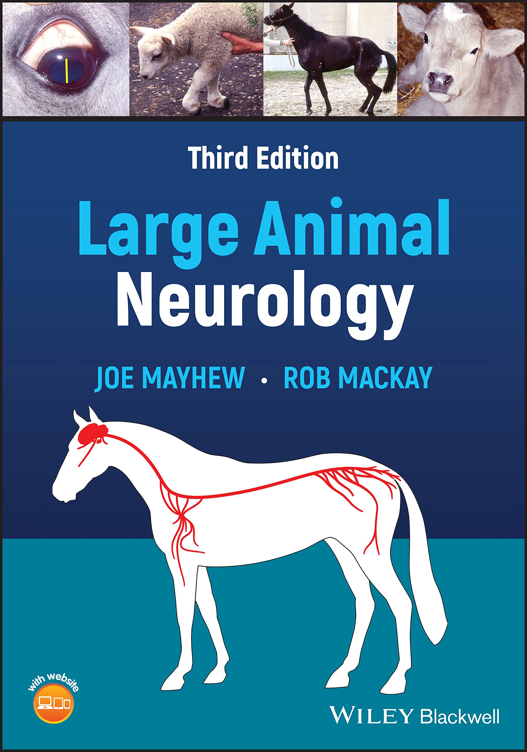 Buy LARGE ANIMAL NEUROLOGY, 3RD EDITION Book Online at Low Prices