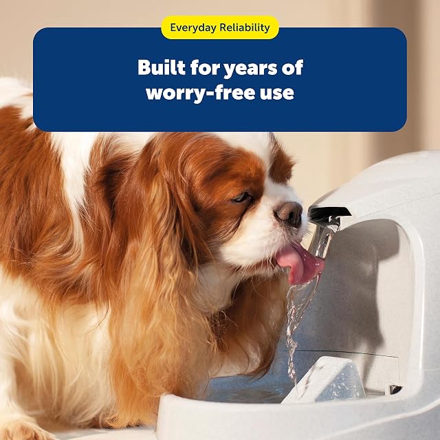 Foto 6 de 7 de PetSafe Drinkwell - Filtros de carbón de Repuesto Premium, activados Hechos de cáscaras de Coco…