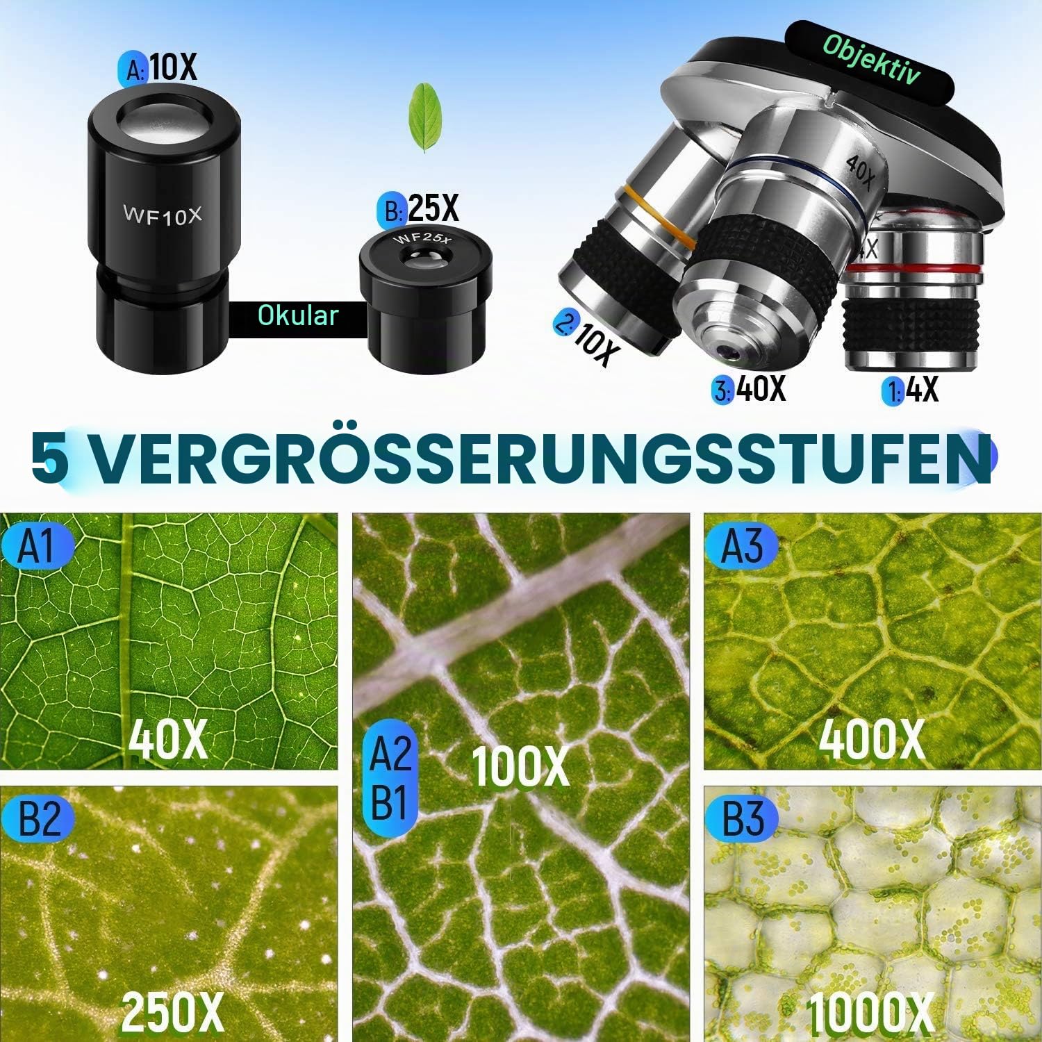 Cowiewie Professionelles Binokulares Mikroskop 40X-1000X lichtdurchlässig und reflektierend Auf- und DurchlichtMikroskop mit Okular & LED Beleuchtung, Studentenmikroskop Mikroskop mit Objektträger