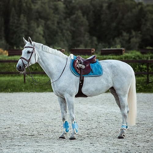 Miniatura 6 de HORZE Sion - Brida acolchada de piel para caballo, con banda nasal y riendas de goma, color negro