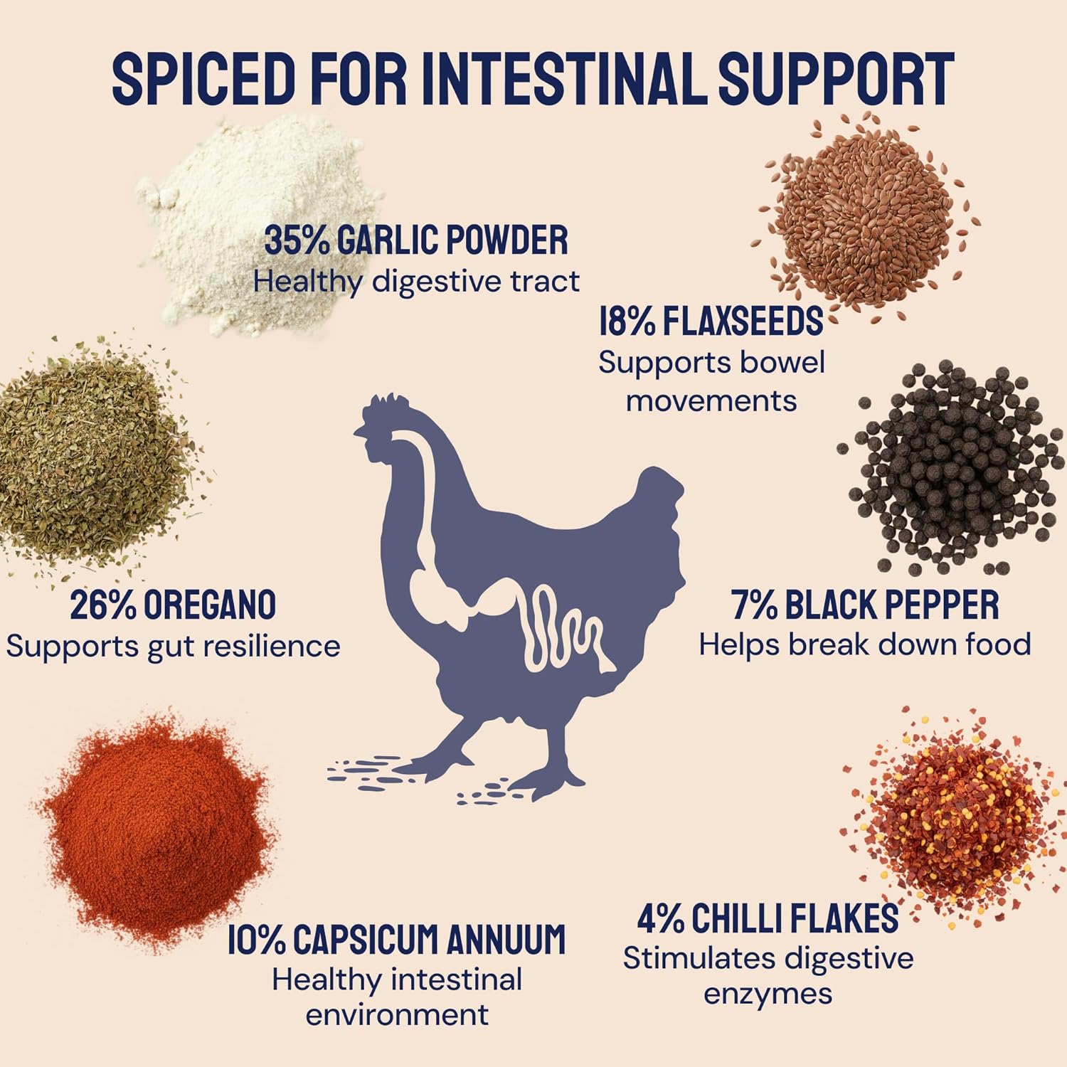 Hatortempt Spiced Black Soldier Fly Larvae for Chickens 10lb - High-Calcium, Organic Worm Treats for Laying Hens - Coated with a Chili Mix for Chickens