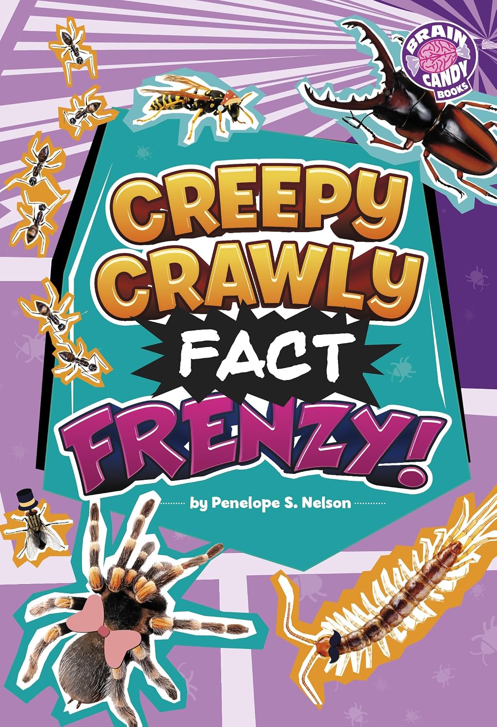 Creepy Crawly Fact Frenzy! (Brain Candy)