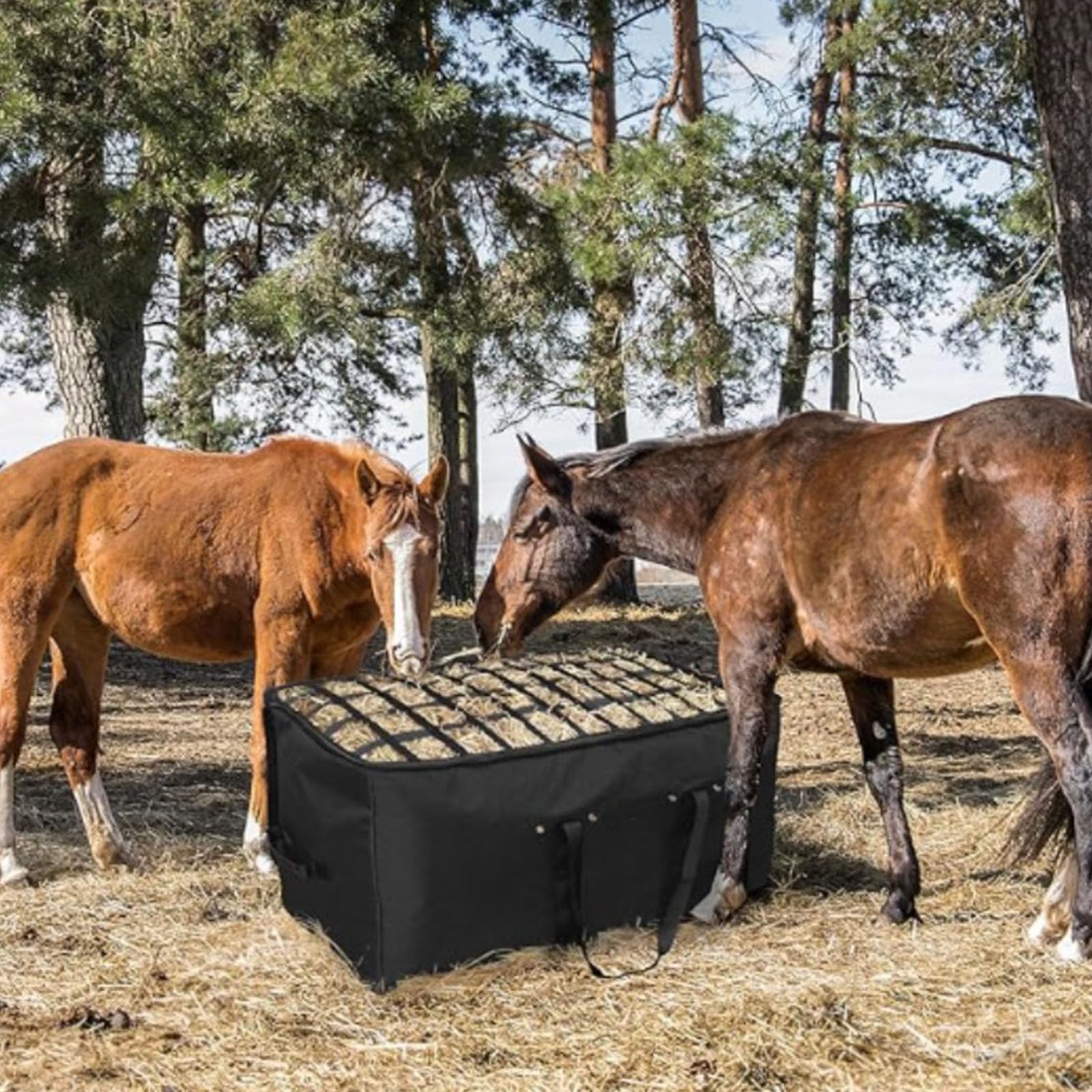 Bolsa de alimentación portátil plegable para caballos con ventilación y diseño reforzado, ideal para transporte y almacenamiento, comedero duradero para caballos