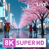 GlobeTV - Live Wallpaper HD 4K for TV & Tablet