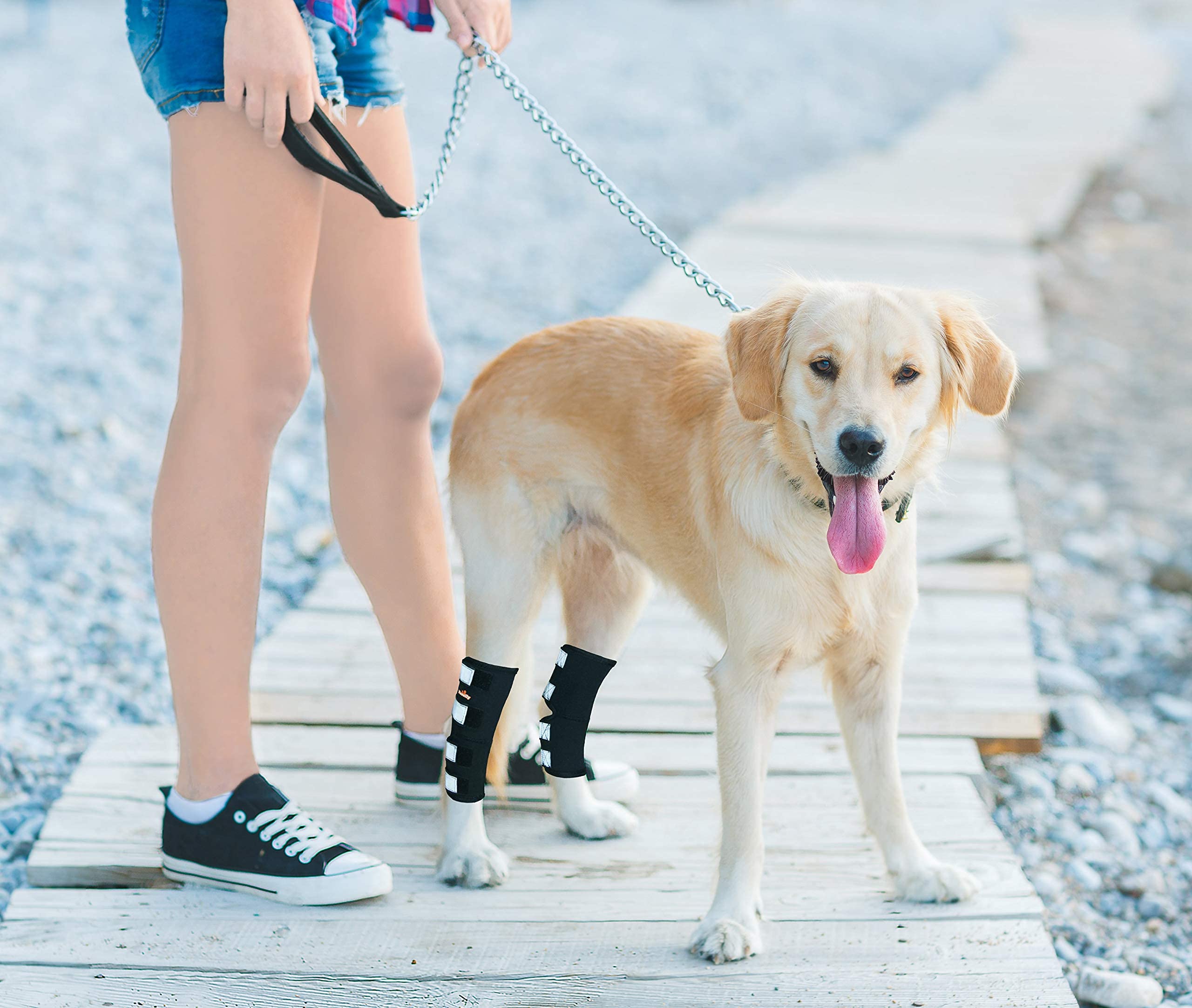 NeoAlly Dog Rear Leg Brace Long Version Canine Hock Wraps with Safety