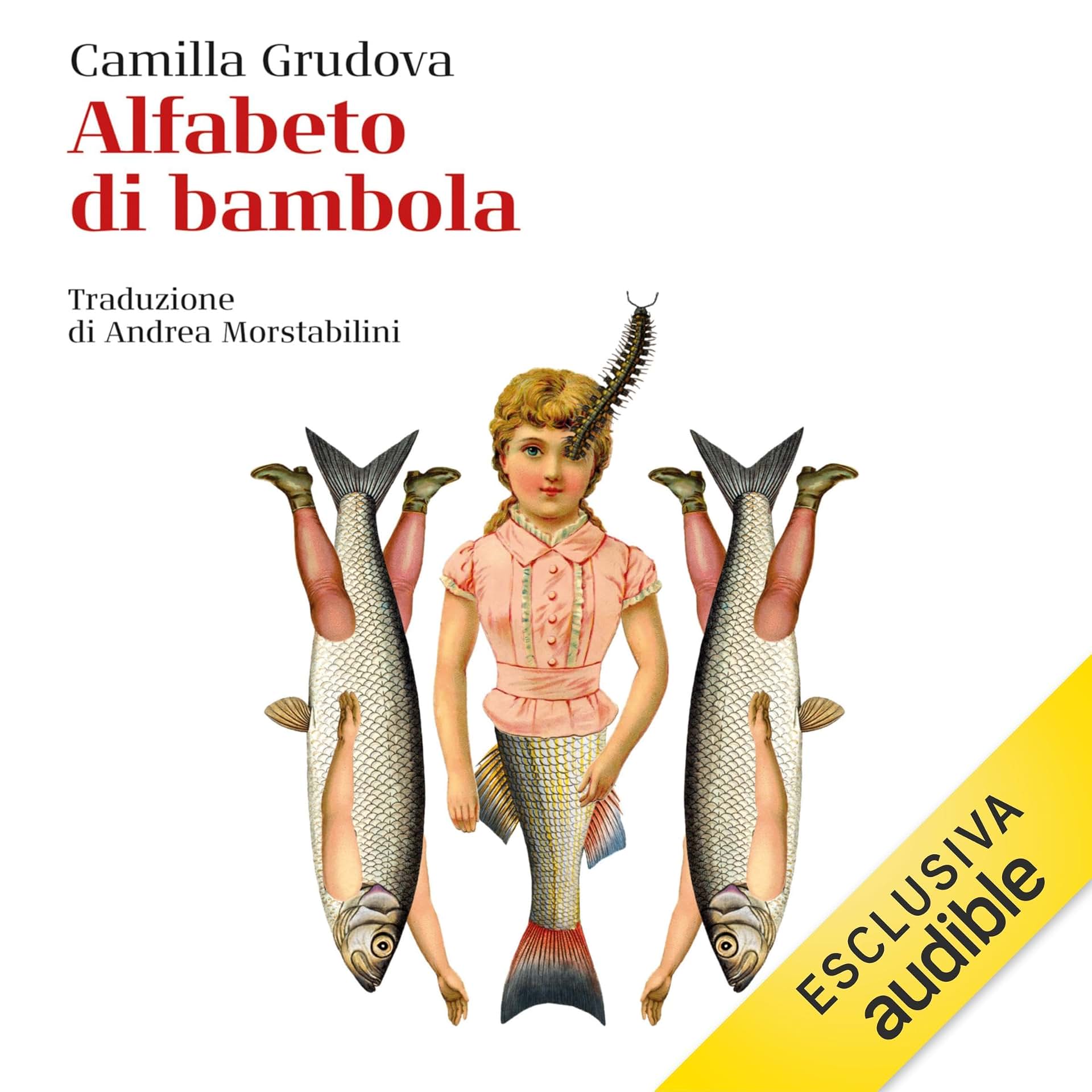 cover-image