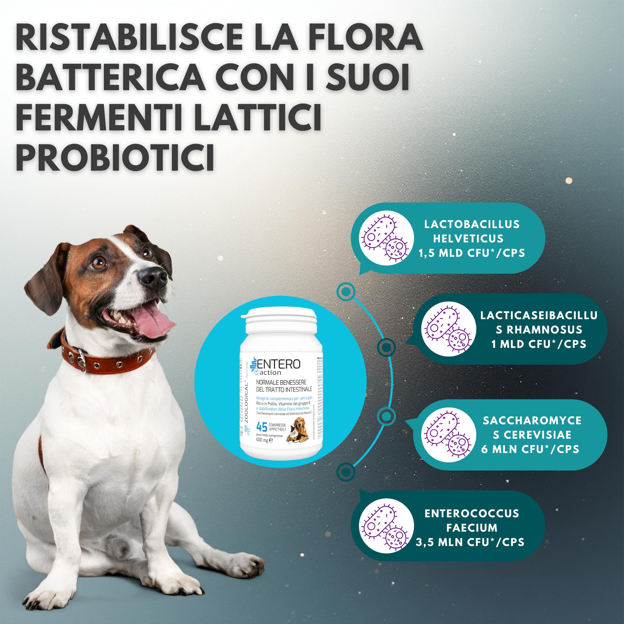 Zoological Probiotici per Cani e Gatti, 45 Compresse Appetibili, Fermenti Lattici per la Flora Intestinale con Prebiotici e Vitamina B, Rafforza il Sistema Immunitario, Normalizza le Feci