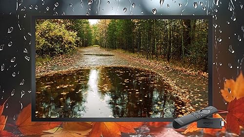 Meditação da chuva de outono - sons relaxantes e vídeo para Sono Profundo-experiência Premium para T
