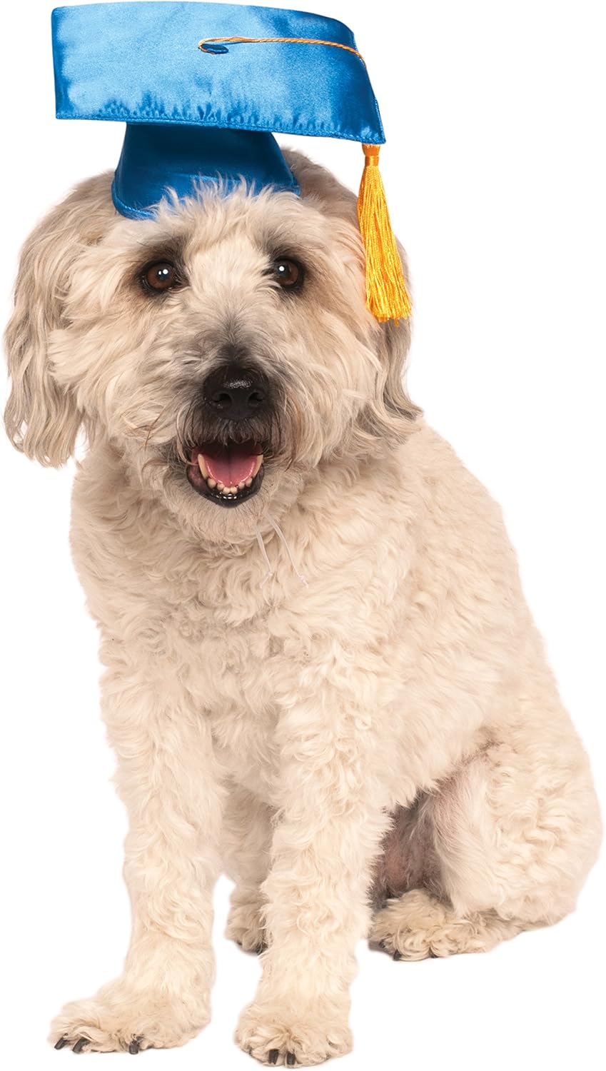 Rubie's unisex adult Graduation Hat Party Supplies, Blue, Medium-Large US