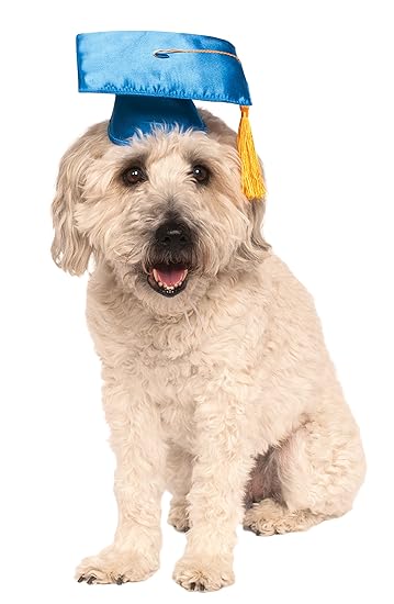 Rubie's Blue Graduation Hat Pet Accessory, Medium/Large