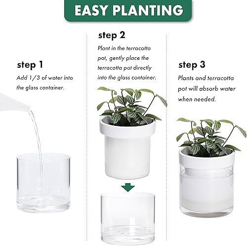 Miniatura 7 de Phoenix Vine Maceta de riego automático de 6 pulgadas y 4 pulgadas, macetas de arcilla de terracota blanca con depósito de vidrio para plantas de