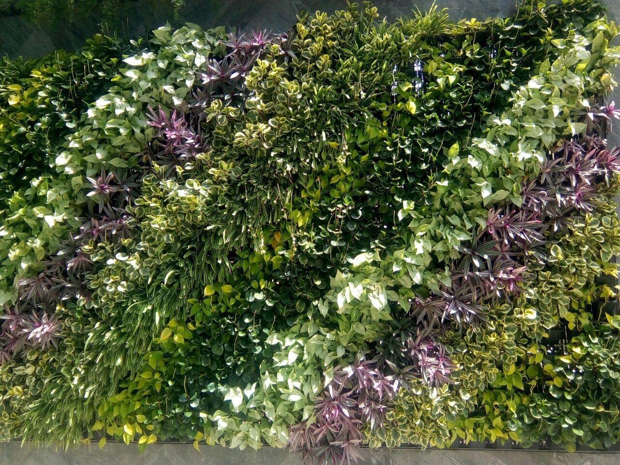 CAPPL Vertical Garden Pots - 35 Pack -4