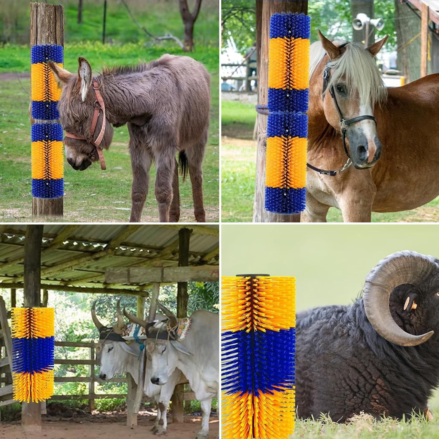 Vieh Lot de 2 brosses à gratter semi-circulaires efficaces pour chevaux et vaches - Gratte-dos pour chevaux et vaches - Idéal pour le toilettage des animaux - Brosse à gratter cheval et vache