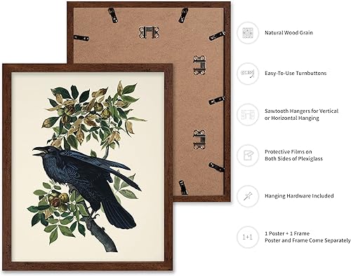 Miniatura 53 de Poster Master Póster vintage de flamenco americano, estampado retro de flamenco rosa, arte de pájaro, regalo para él, ella, amante de los animales,