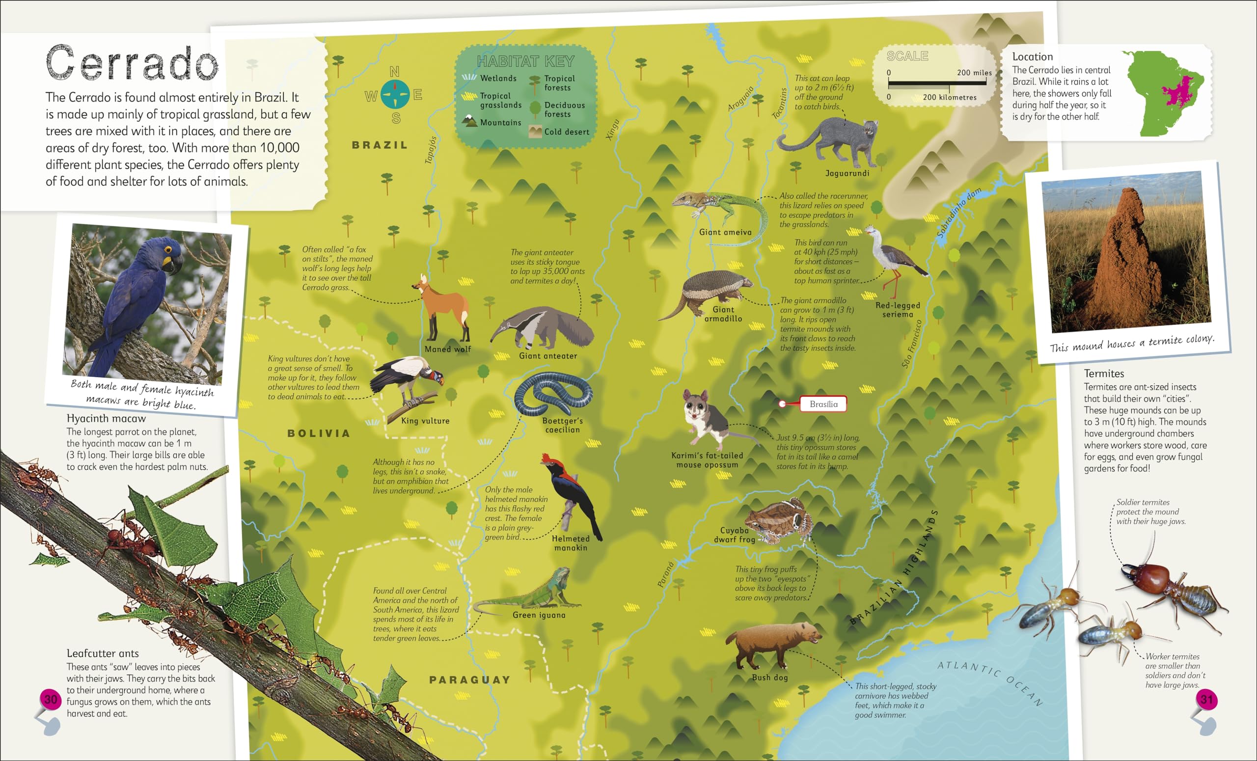 Children's Illustrated Atlas Collection (Children's Illustrated Atlases)