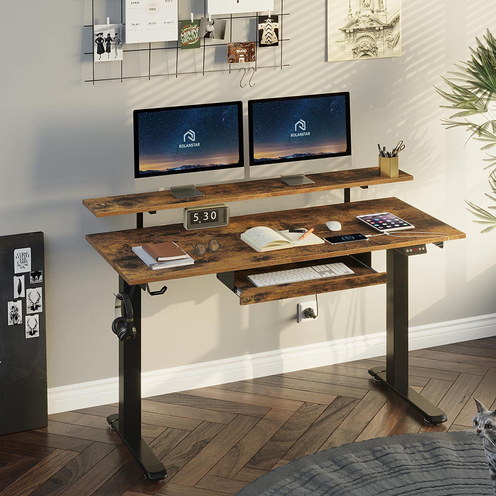Rolanstar Standing Desk Dual Motor with USB Charging Ports, 47