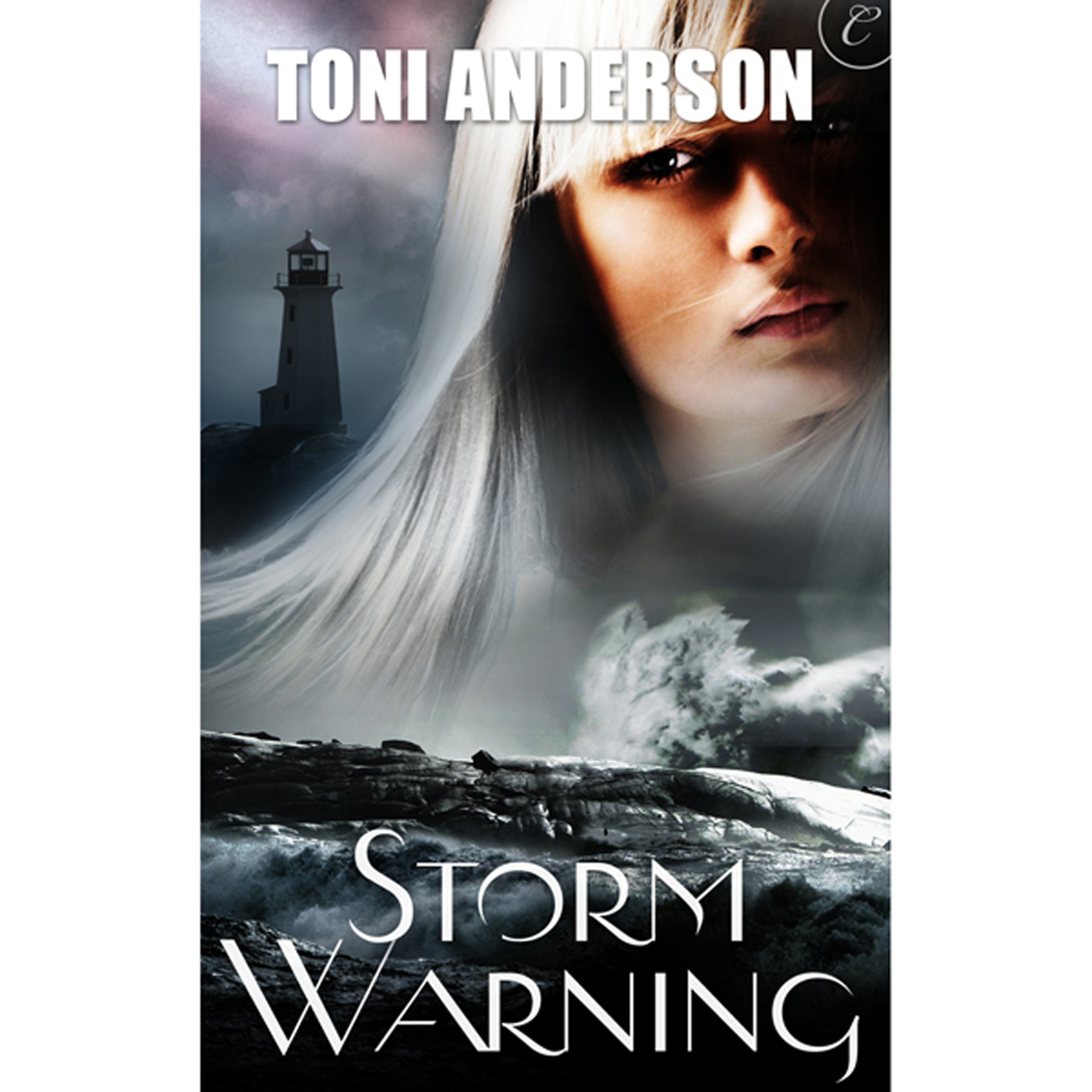 Cover art for Storm Warning