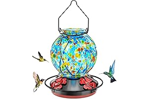 Glass Hummingbird Feeder with Vibrant Colors