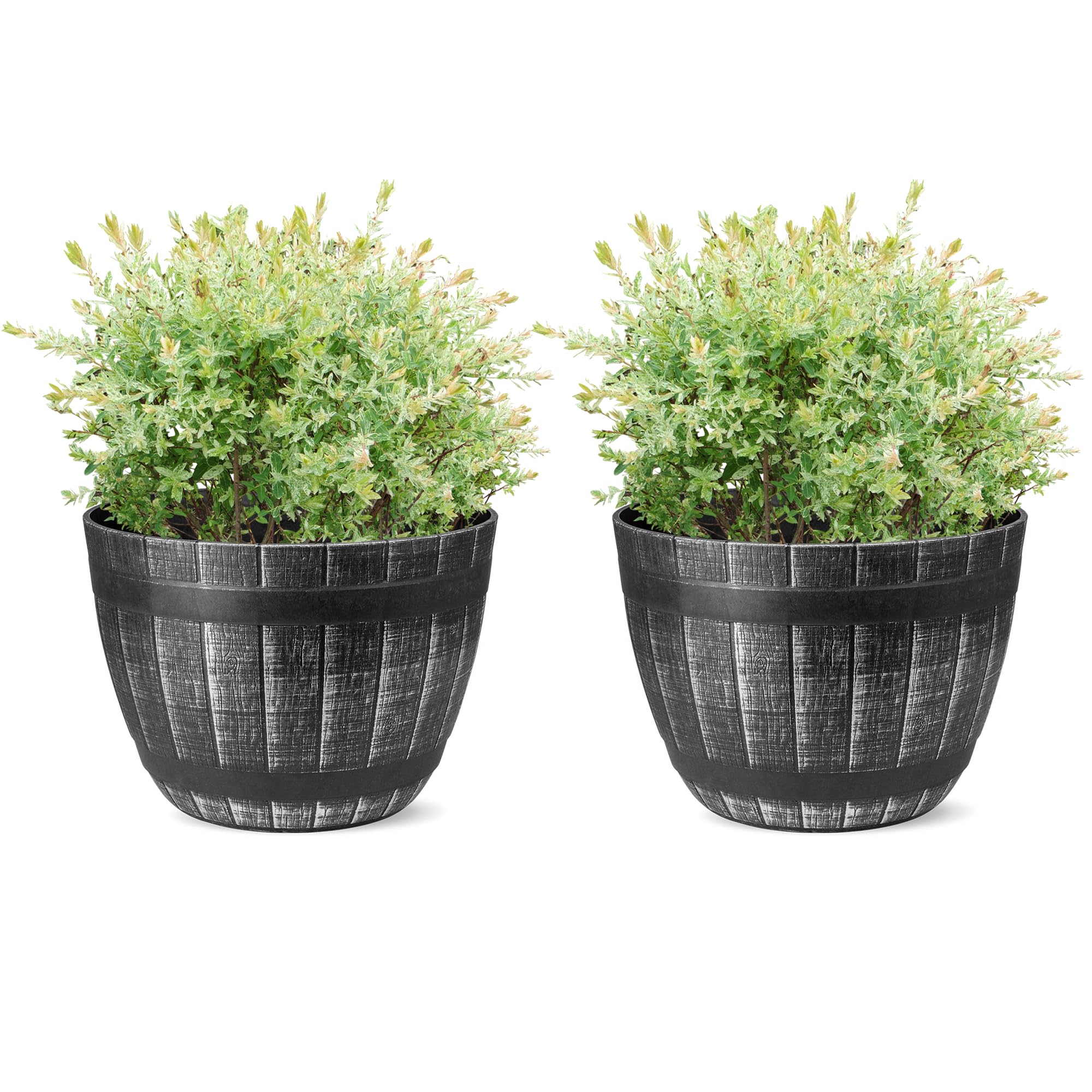 SG Traders Round Plastic Barrel Tub Planter Garden Plant Pot Flower Pots Whiskey Barrels Plant pots lightweight Unique Design Garden planter Premium Half Barrel Cask Planters - pack of 1