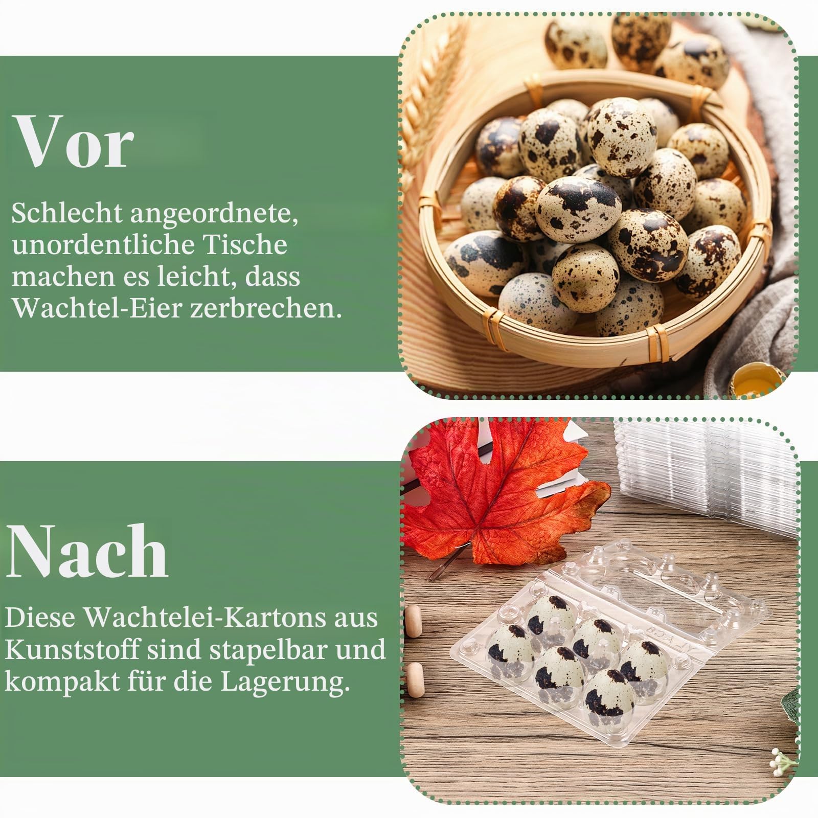APACALI 150 Stück Wachteleierschachteln mit Wachteleier Schere, Wachteln Eierschachteln 6 Gitter, Kunststoff Wachtelei Schachteln mit Deckel, Transparente Wachteleierschachteln