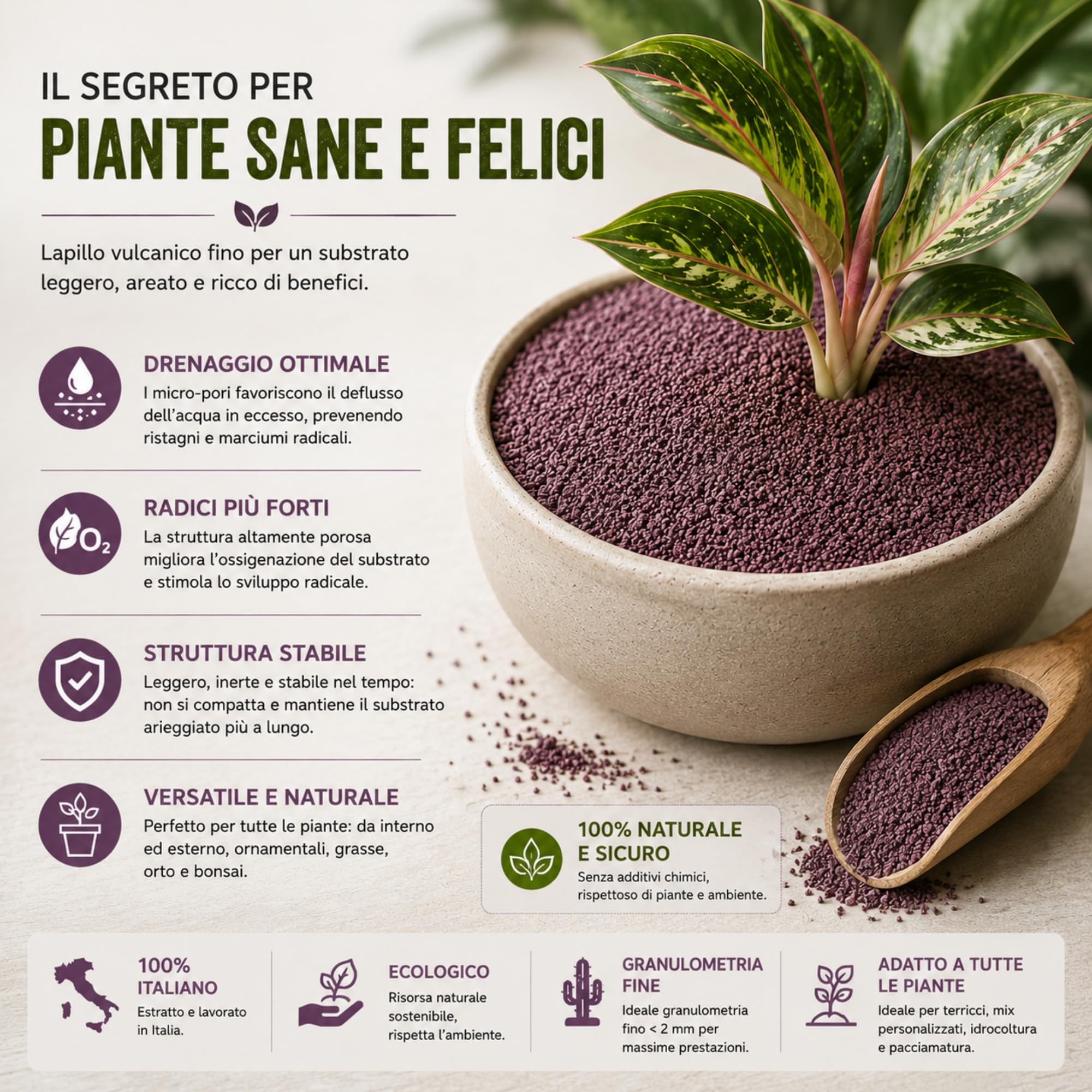 CLOROPHILLA Vulkanischer Lapillo für Pflanzen, 3/5 mm, verbessert Drainage und Zusammensetzung des Substrats, ideal für Bonsai, Sukkulenten und Garten – Made in Italy (50 Liter)