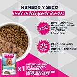 Ver la foto 6