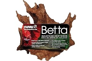 Fluval Real Driftwood: Create a Natural Aquatic Ambiance