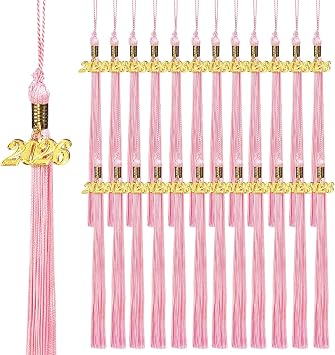 24 Pack 2026 Graduation Tassels with Gold Charm Bulk Cap Tassels for Graduation Ceremony, Keepsake & Decor Pink