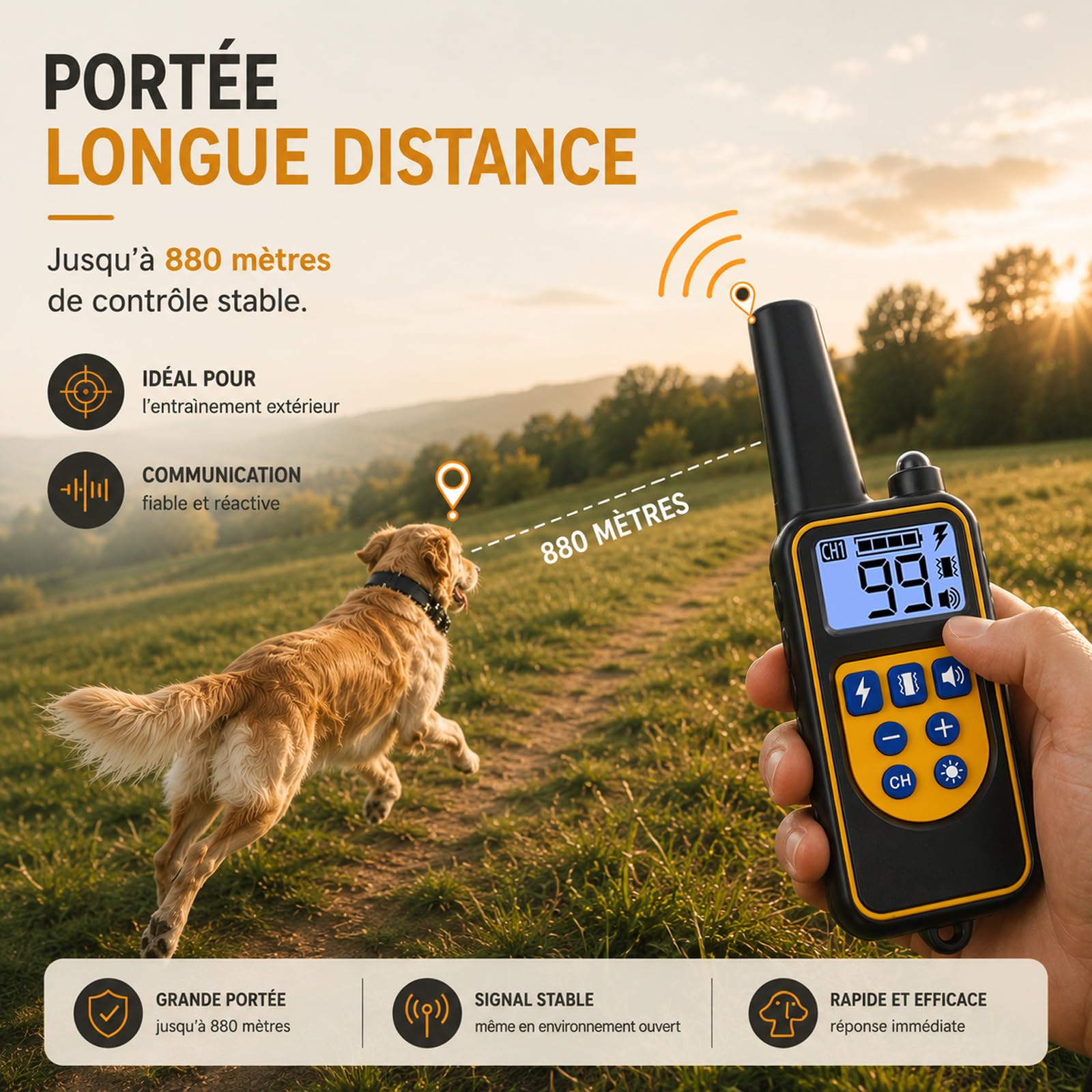 Collier de Dressage pour Chien - 4 Modes d'entraînement - Niveaux réglables 99 - Portée de 800 m - IPX67 Résistant à L’Eau - Convient à Toutes Les Races de Chiens