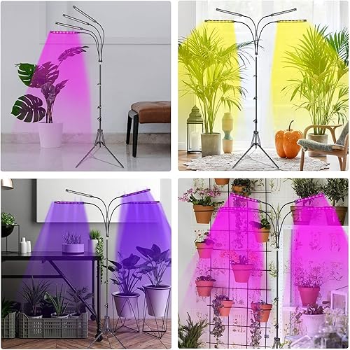 Miniatura 7 de Luces de cultivo de plantas para plantas de interior de espectro completo, luces LED para plantas de piso para cultivo en interiores con soporte