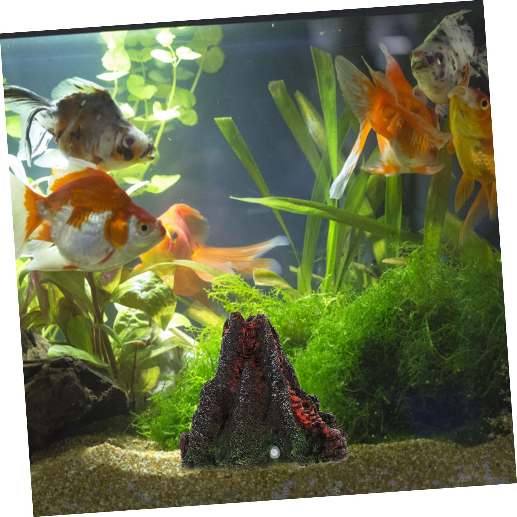 BESPORTBLE 2 Pièces Ornements D'Aménagement Paysager D'Aquarium Aquarium Aquarium Pompe Hydroponique Décorations D'Aquarium Aquarium Statue en Bois Décor Aquarium Disposition du