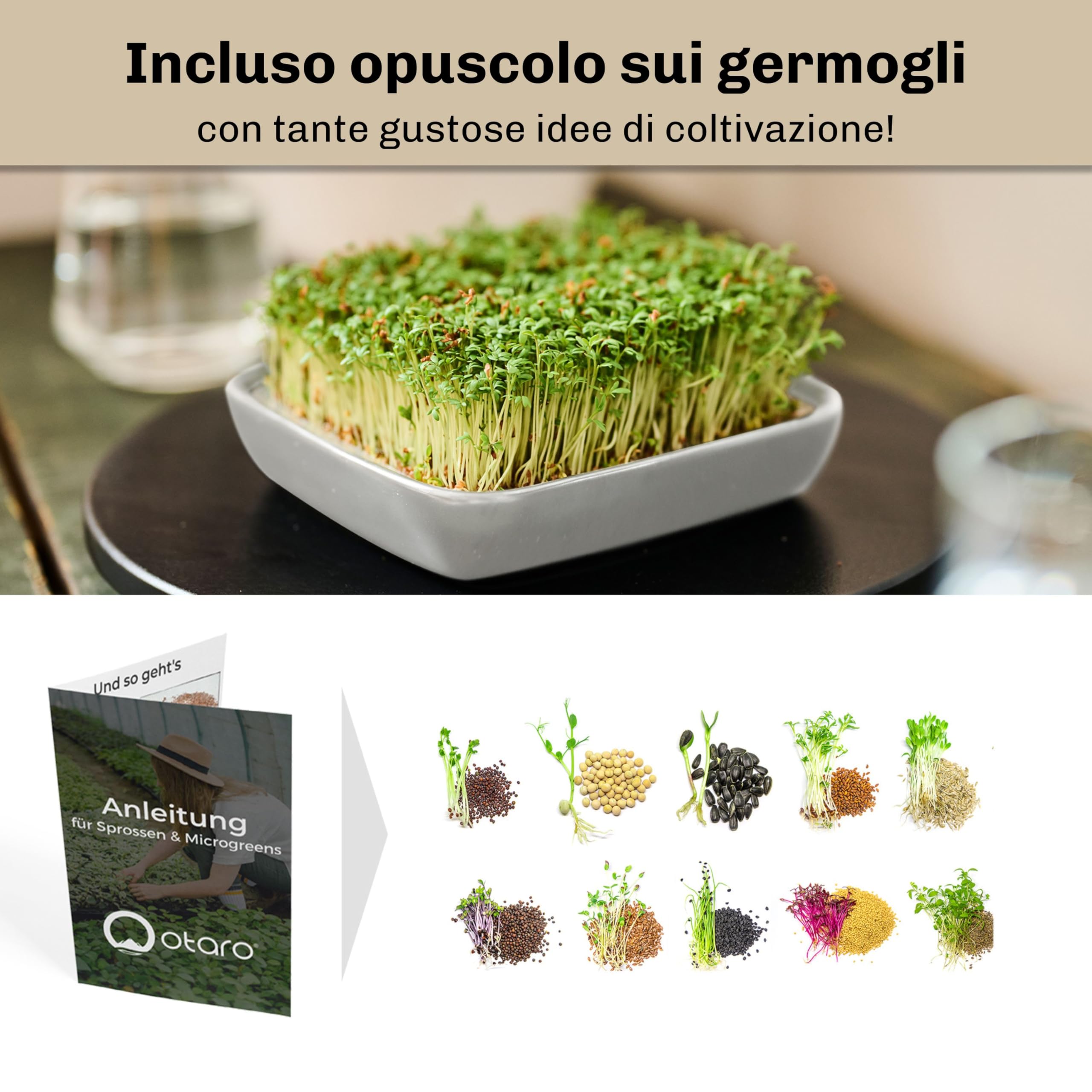 Otaro Germogliatore con Semi di crescione | Microgreens | Idroponica Kit Completo - Pronto all’Uso | Germogliatore per Semi | Semenzaio Elegante | (Grigio - Set Premium in Ceramica)