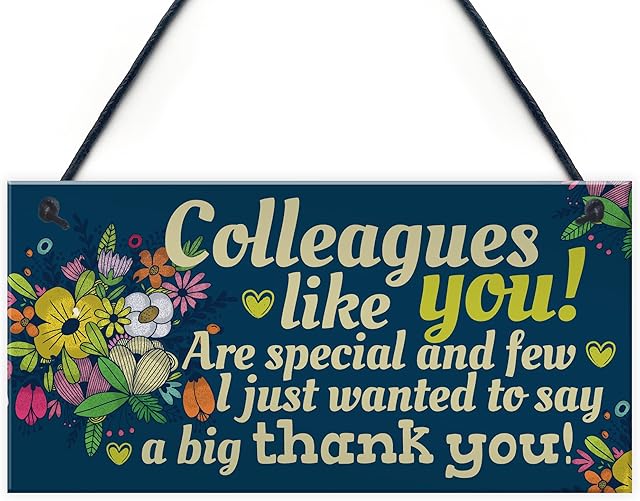 RED OCEAN Colleague Gift Plaque Friendship Friend Hanging Sign Thank You Leaving Job Goodbye Work Gift