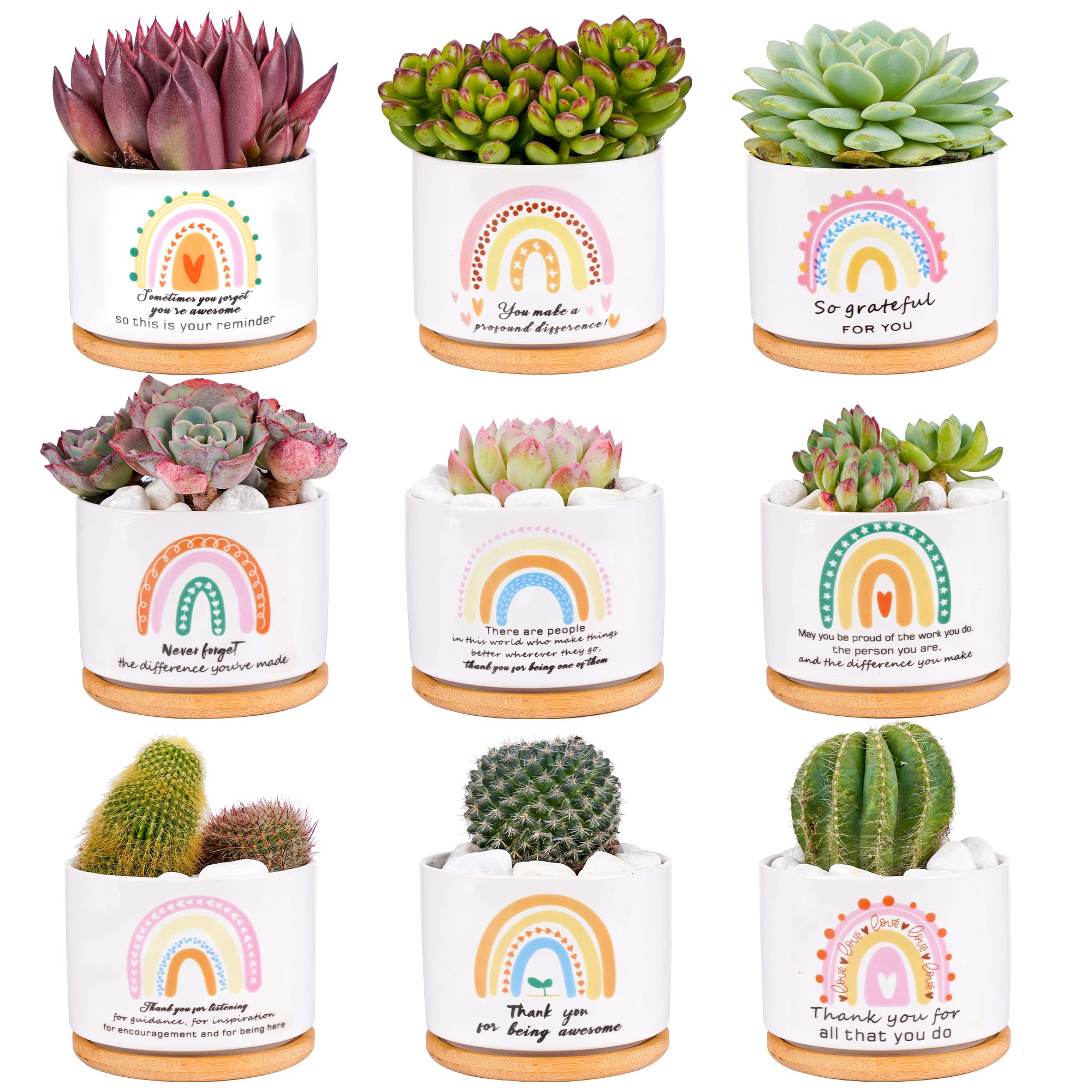 SAIWEILAI Ceramic Succulent Planter Pots Set of 9 with Bamboo Trays, Round Painted Plant Pots for Indoor Desktop Decoration, White