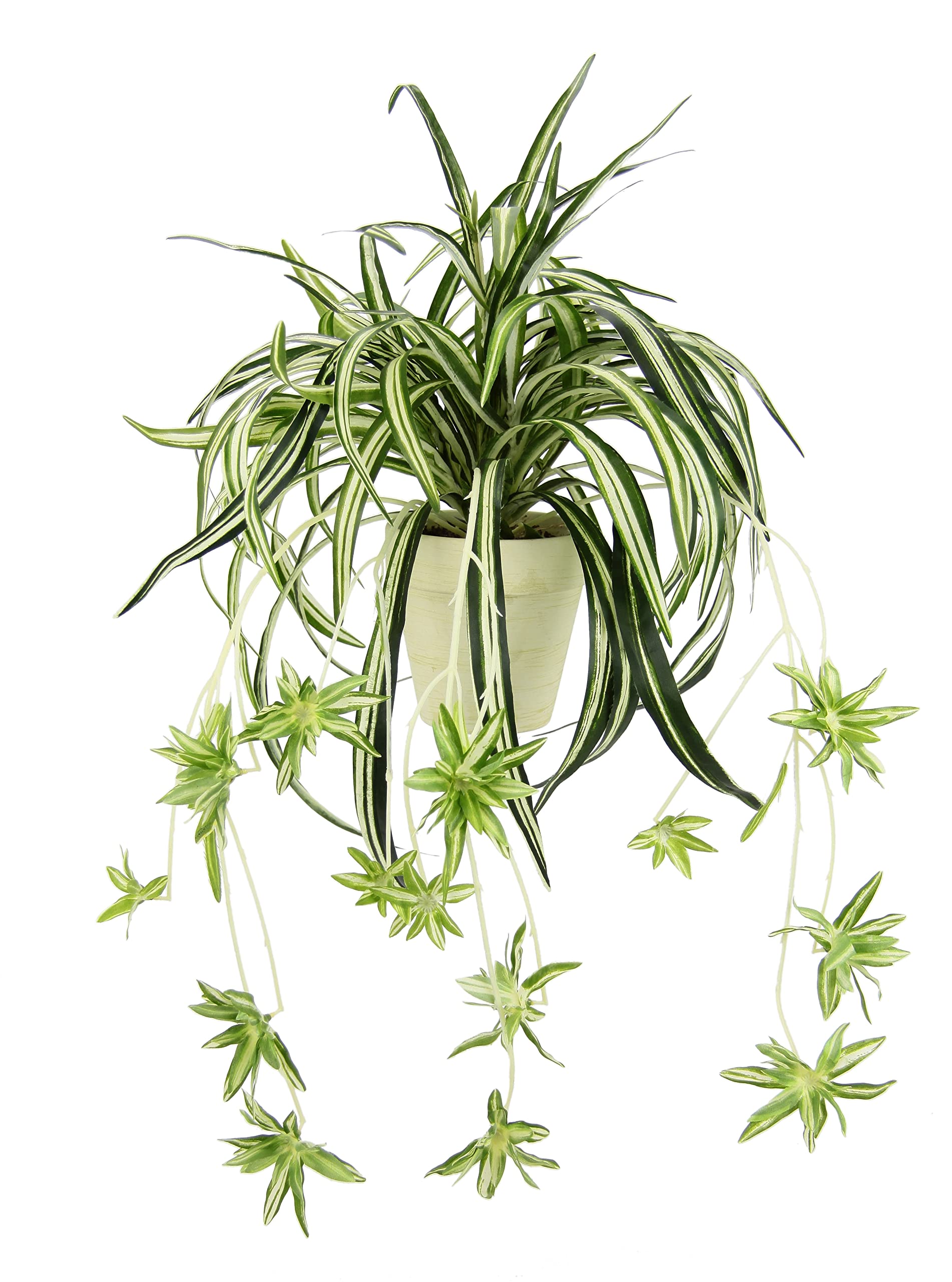 Amazon.de: Knstliche Grnlilie im Topf Kunstpflanze Chlorophytum  Grnpflanze Seidenpflanze Wasserlilie Spinnenpflanze Spinnenlilie Hngend  Hngepflanze Zimmerpflanze Unechte Hochzeit Deko, Grn/Wei, 36x46cm