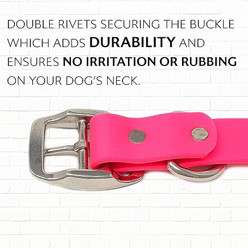 Miniatura 153 de Regal Dog Products Collares de perro grandes, impermeables, color rosa, con placa de nombre grabada personalizada, revestimiento de vinilo, anti