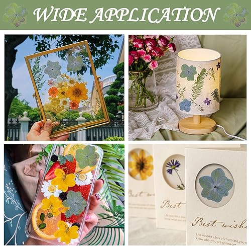 Miniatura 3 de HEISENLIN 60 piezas de flores secas verdes hortensias dobles para adornos de resina, flores prensadas naturales para manualidades de resina,