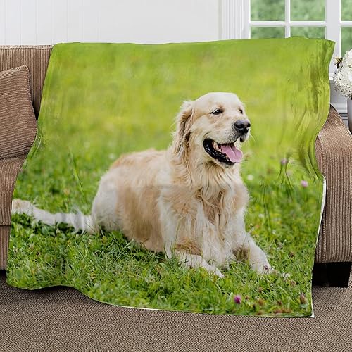 Miniatura 2 de Manta de forro polar Animal-Labrador Retriever para sofá, cama y sofá (60 x 80 pulgadas), ultra suave, ligera y acogedora, no se desprende pelusa,
