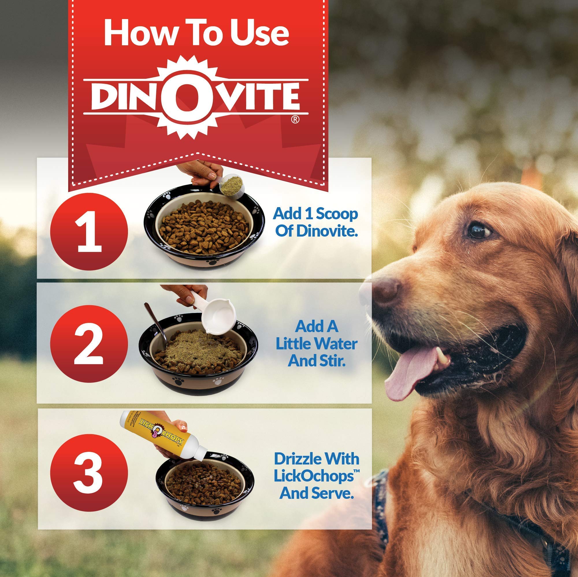 Dinovite Dog Supplement Immune, Digestive & Skin + Coat Support