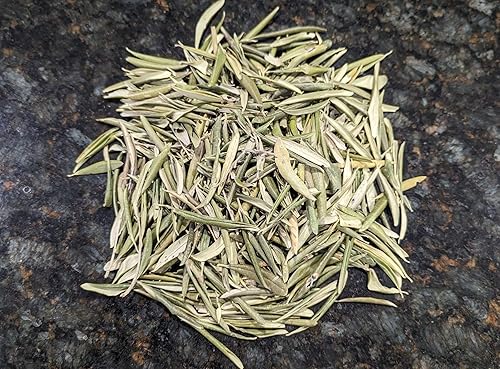 Té de hojas de olivo Hoja orgánica de 16 onzas – Hojas de olivo secas Hojas de oliva orgánicas secas Hojas de oliva secas Té de oliva griego Té de