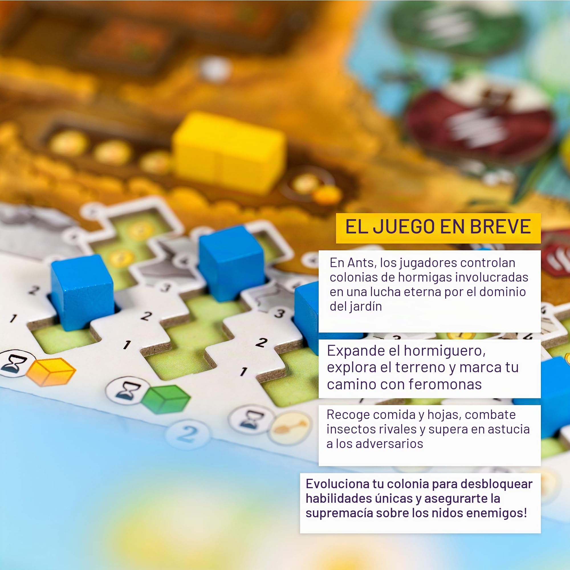 Cranio Creations - Ants - Hormigas para la Conquista del jardín - 2-4 Jugadores, 90 min - Juego para Expertos - A Partir de 13 años - Edición en Italiano