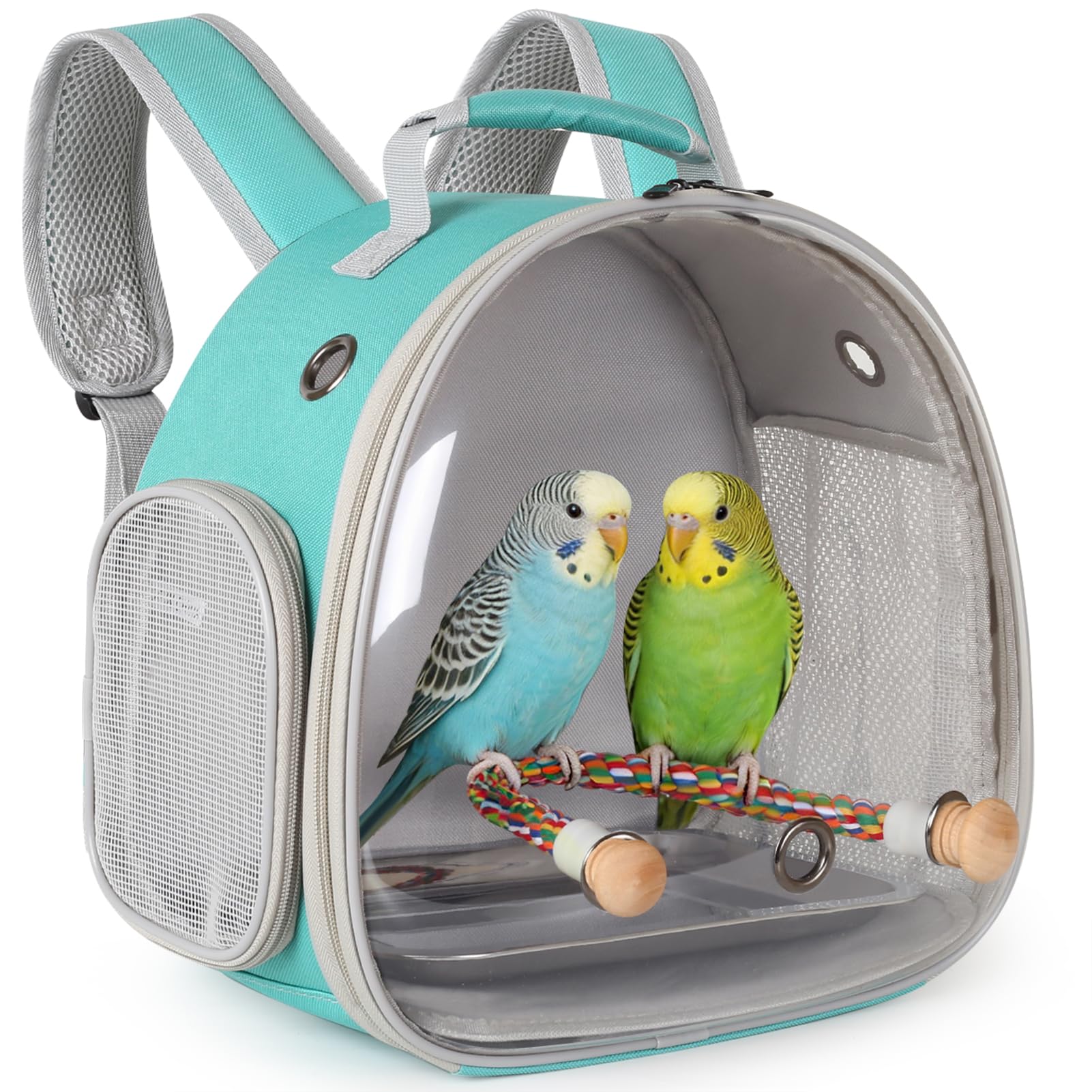 Sac à dos de voyage pour petit oiseau avec plateau en métal et perchoir pour perruches, calopsittes perruches, vétérinaires (vert)