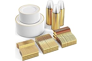 Disposable Wedding Dinner Plates set for 100 Guests