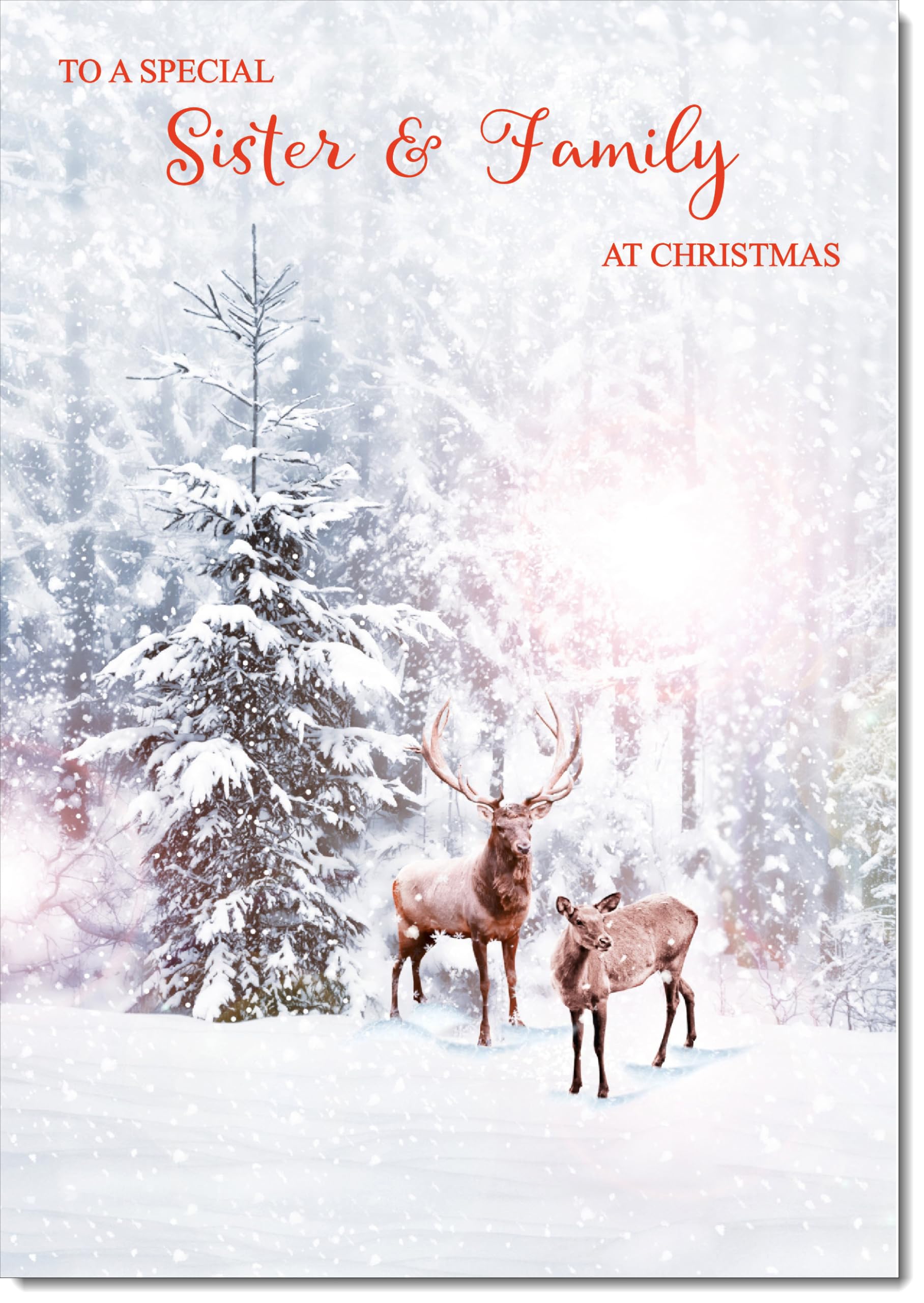 doodlecards Sister and Family Christmas Card Deers in Forest Large A4 Size Christmas Card for Sister & Family with Plain Envelope