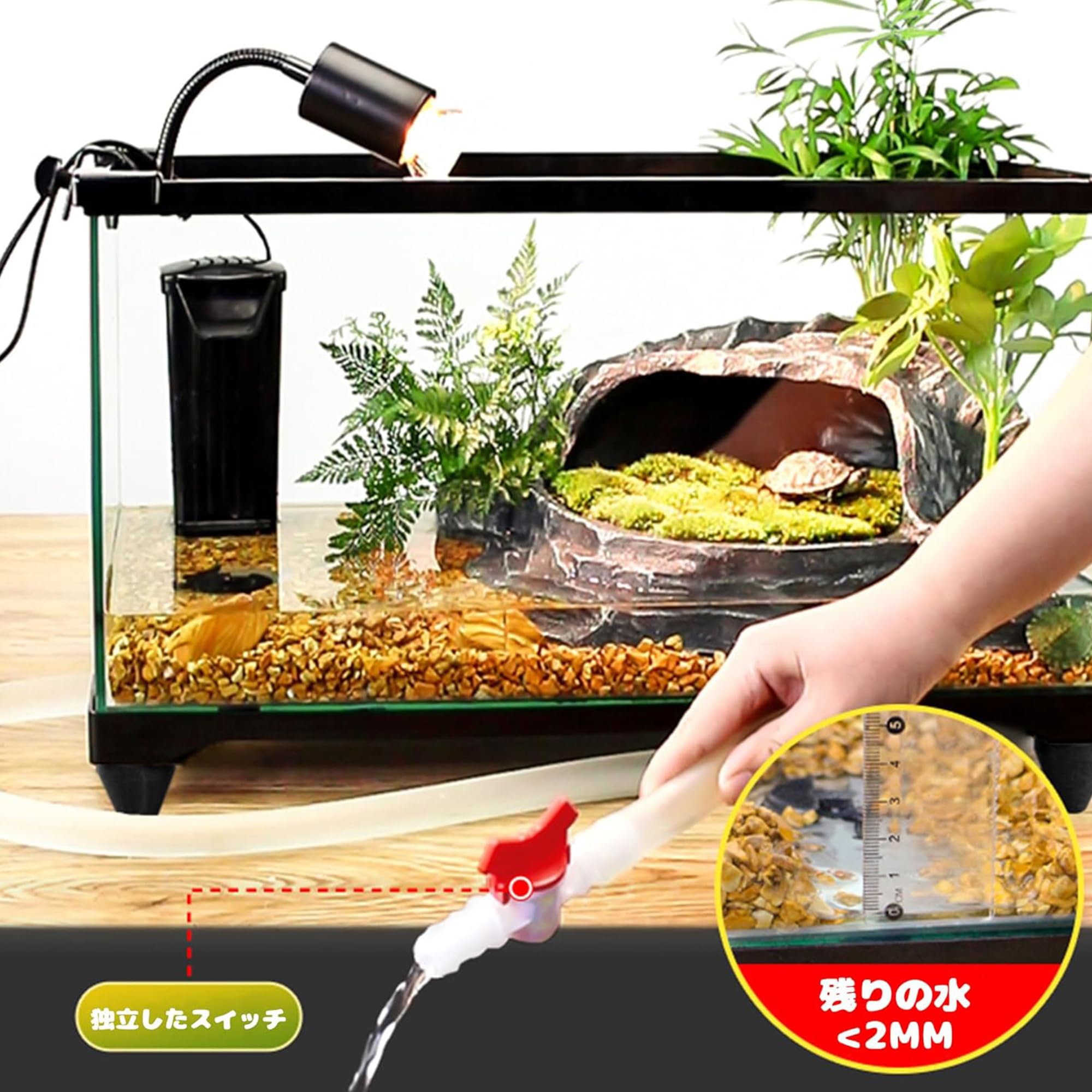 Amazon | 40*22.5*21CM中小水亀水槽 水亀の中小型水槽 水棲カメ