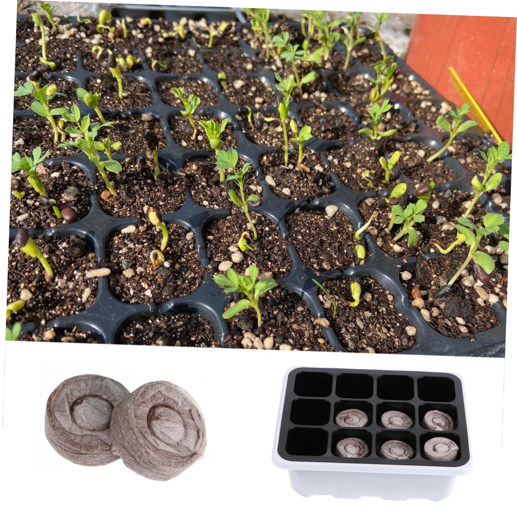 HANABASS 2 Sätze Teiliges Set Anzuchtschalen Mit Löchern Und Bodenblöcken Für Gewächshausgarten Für Blumen Gemüse Und Obstpflanzen Einfache Handhabung Fördert Wurzelentwicklung 12 Stück * 2