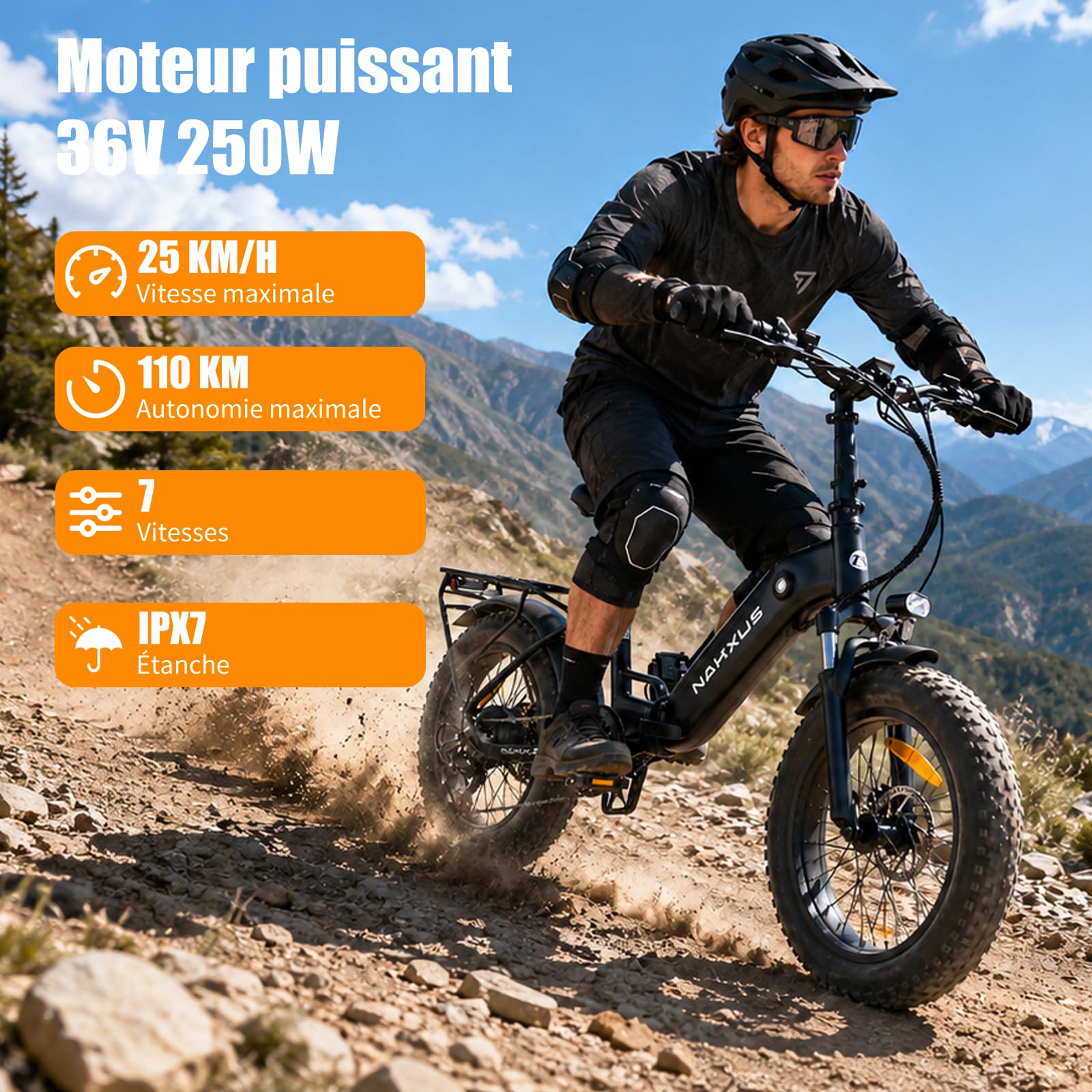 20F213 Vélo Électrique Pliable, E-Bike à Gros Pneus, Moteur 250W, Batterie Amovible 36V 14.5Ah, Autonomie 110 km, 7 Vitesses, IPX7
