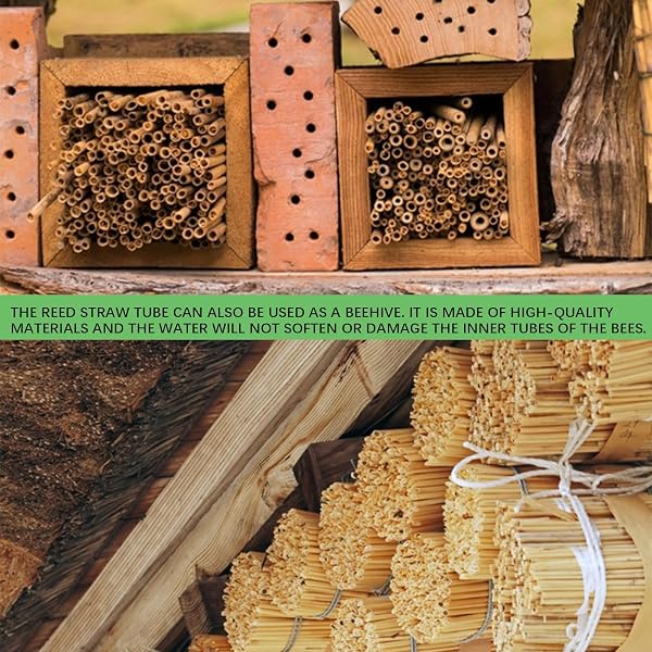 Mason Beehive Tubes, 200PCS Reed Pollination Bee Nesting Tubes, Bee House Tubes Refill,0.6-1cm Honeycomb Reed Tube, for Garden Honeybee Habitat Protection - Natural Reed Straws - 4